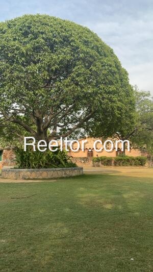 Shop For Rent In Pasi Khera Uttar Pradesh