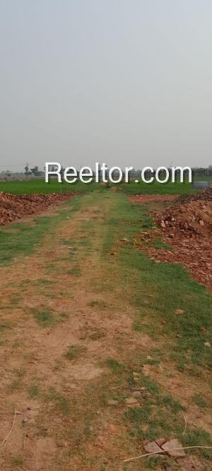 Plots For Rent In Karankkadu Tiruvadanai