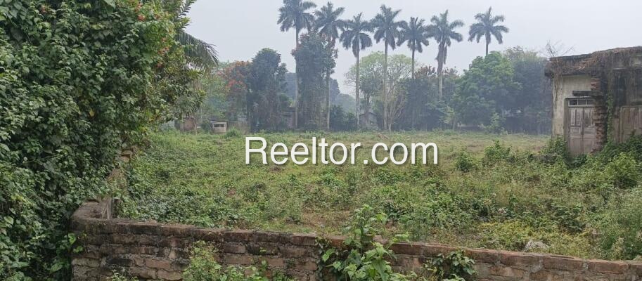 Plots For Sale In Malaya Mathurapur