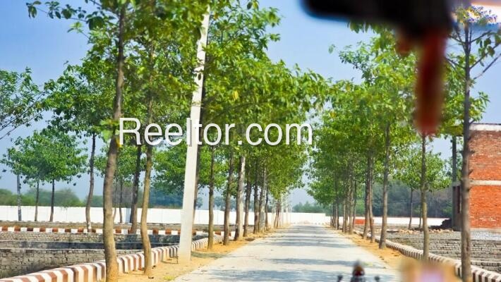 Plots For Sale In Bhirewadi Shirala