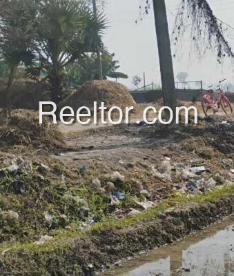 Shop For Rent In Pesalaparti Bagepalli