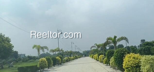Plots For Rent In Yortung Singa