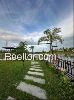 Plots For Rent In Thuangtam Singngat
