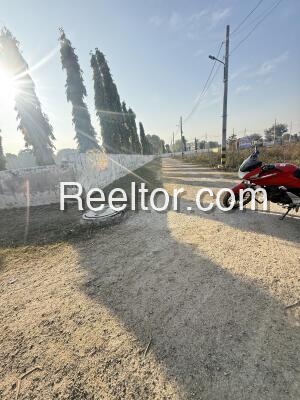 Shop For Rent In Pusheli Supa
