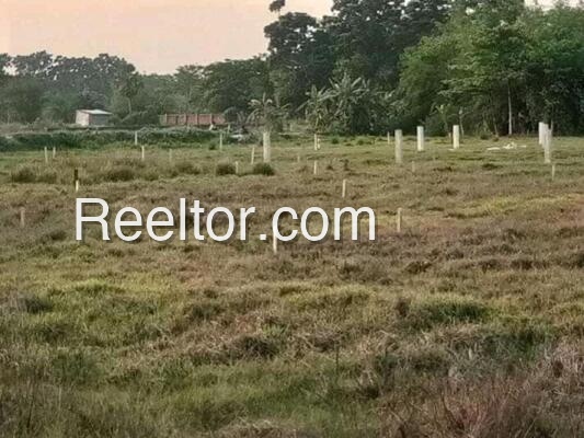 Shop For Rent In Simlabari Baganpara