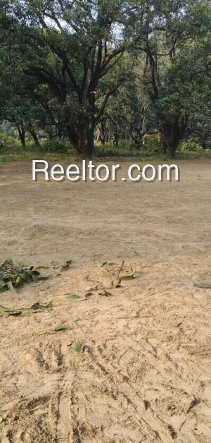 Plots For Rent In Brahmano Ki Dhani Churu