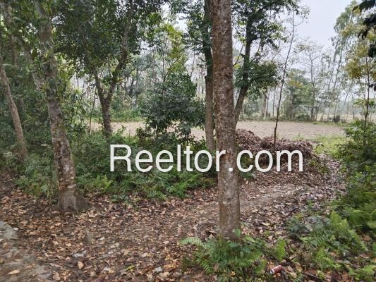 Shop For Rent In Jagdi Maibong