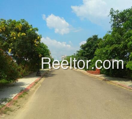 Shop For Rent In Dimou Raha