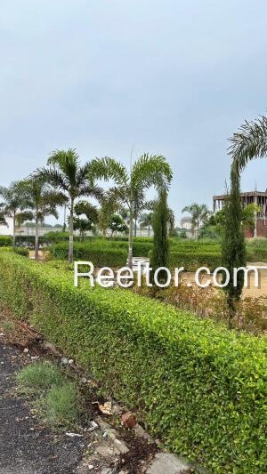 Plots For Rent In Thuangtam Singngat
